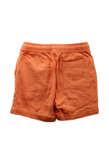 A Orange Shorts from Seed in size 5T for boy. (Back View)