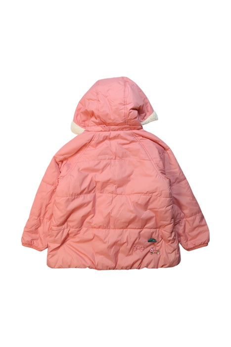 A Multicolour Puffer/Quilted Jackets from Ragmart in size 5T for girl. (Back View)