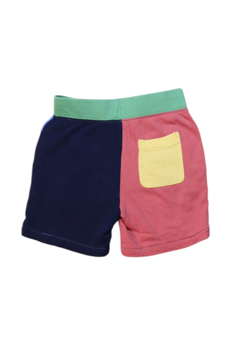 A Multicolour Shorts from Polo Ralph Lauren in size 4T for boy. (Back View)