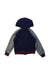 A Multicolour Lightweight Jackets from Polo Ralph Lauren in size 4T for boy. (Back View)