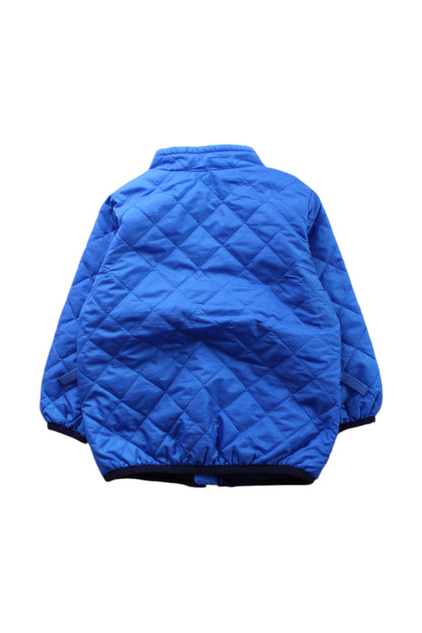 A Blue Puffer/Quilted Jackets from Patagonia in size 3-6M for boy. (Back View)