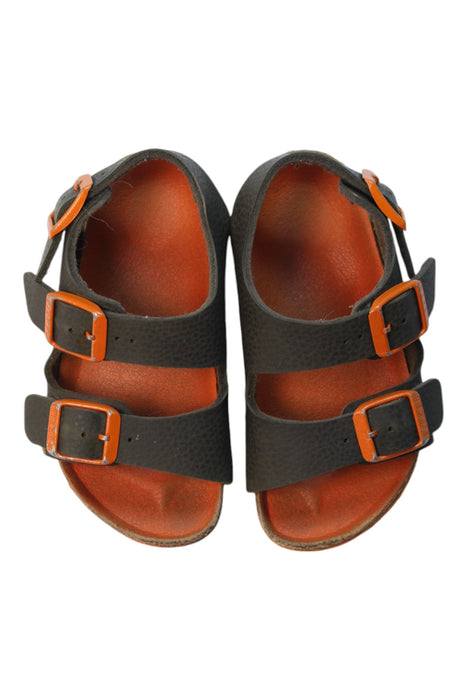 A Black Sandals from Birkenstock in size O/S for boy. (Back View)