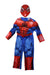 A Multicolour Halloween Costumes from Retykle in size 3T for boy. (Front View)