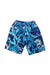 A Multicolour Shorts from Adidas in size 7Y for boy. (Front View)