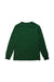 A Green Long Sleeve T Shirts from Polo Ralph Lauren in size 8Y for boy. (Back View)