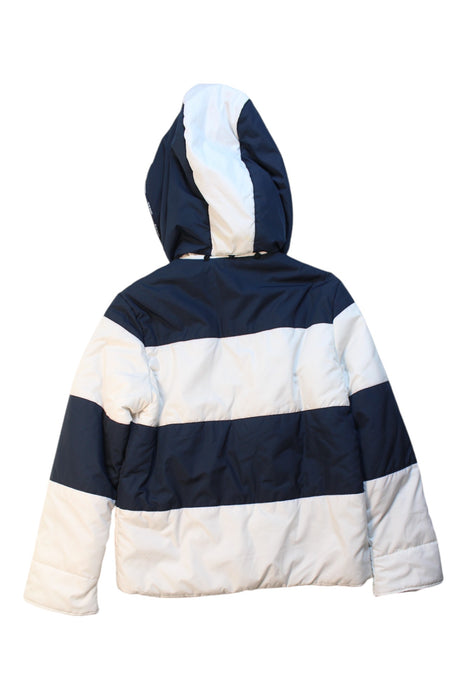 A Navy Puffer/Quilted Jackets from Nicholas & Bears in size 8Y for boy. (Back View)