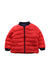 A Navy Puffer/Quilted Coats & Outerwear from Jacadi in size 12-18M for neutral. (Back View)