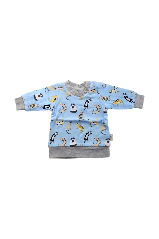 A Multicolour Sweatshirts from Cotton Pigs in size 0-3M for neutral. (Front View)