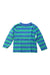 A Blue Long Sleeve T Shirts from Crewcuts in size 2T for boy. (Front View)