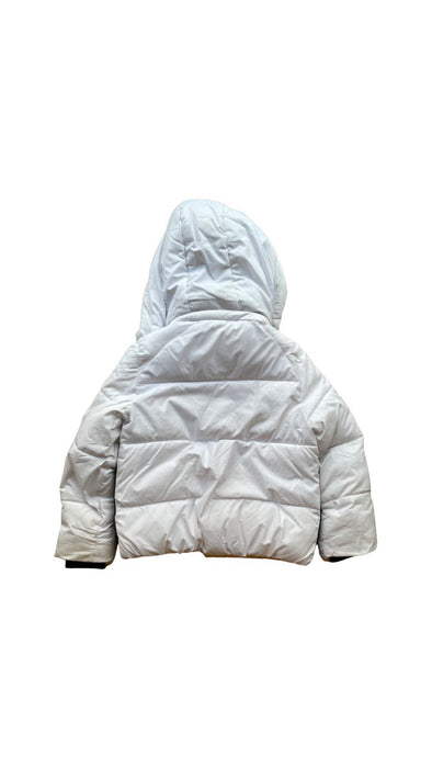 A White Puffer/Quilted Coats & Outerwear from DKNY in size 6T for neutral. (Back View)