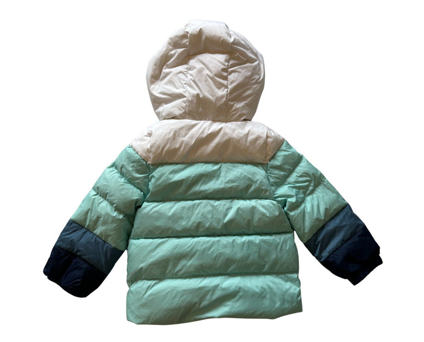 A Green Puffer/Quilted Jackets from Moody Tiger in size 18-24M for neutral. (Back View)