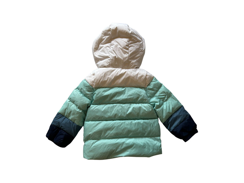 A Green Puffer/Quilted Jackets from Moody Tiger in size 18-24M for neutral. (Back View)