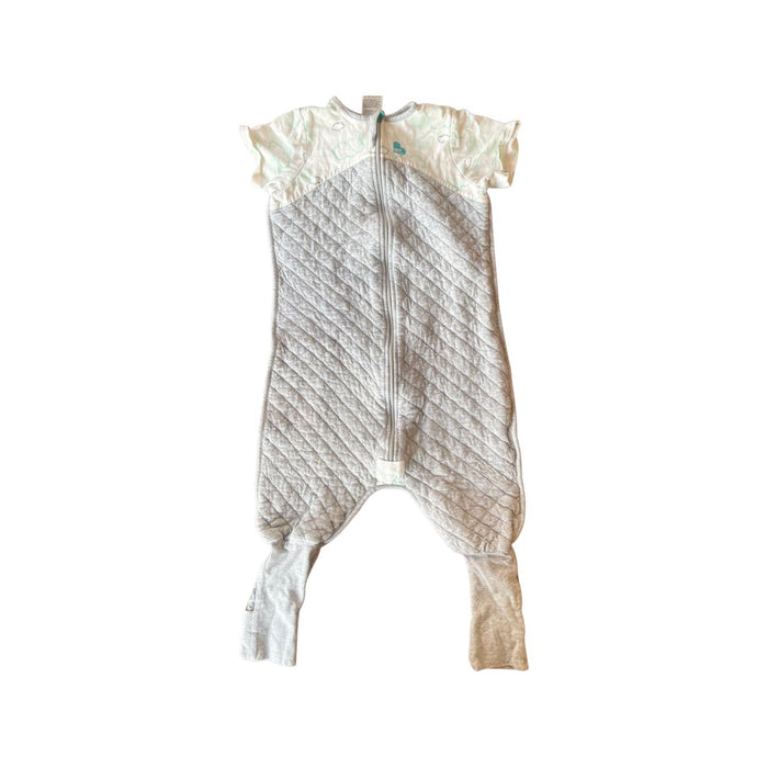 A Grey Sleepsacs from Love To Dream in size 3T for neutral. (Front View)