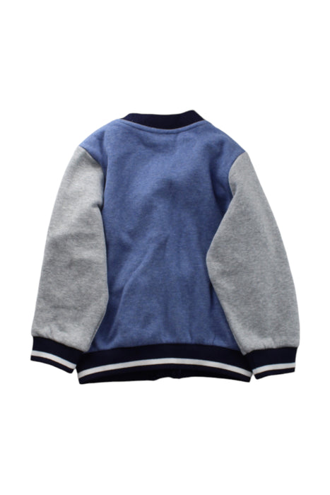 A Blue Lightweight Jackets from Chickeeduck in size 2T for boy. (Back View)