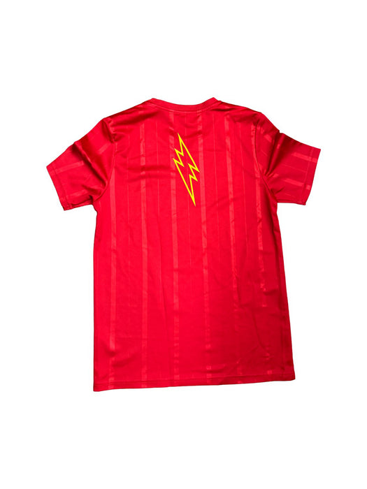 A Red Short Sleeve T Shirts from Adidas in size 10Y for boy. (Back View)