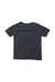 A Grey Short Sleeve T Shirts from Boss in size 4T for boy. (Back View)