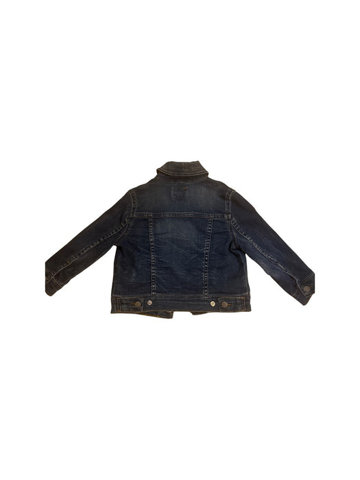 A Blue Lightweight Jackets from Polo Ralph Lauren in size 2T for neutral. (Back View)