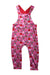 A Multicolour Long Overalls from Toby Tiger in size 3T for neutral. (Front View)