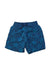 A Blue Swim Shorts from Vilebrequin in size 6T for boy. (Front View)