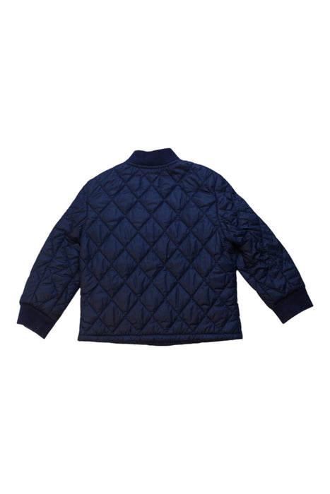 A Navy Puffer/Quilted Jackets from Polo Ralph Lauren in size 2T for boy. (Back View)