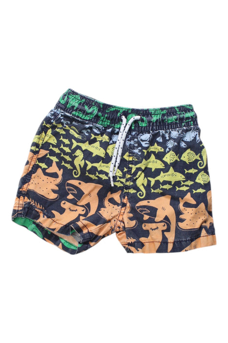 A Multicolour Swim Shorts from Seed in size 2T for boy. (Front View)