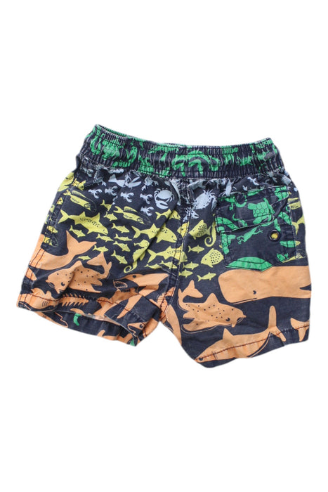A Multicolour Swim Shorts from Seed in size 2T for boy. (Back View)