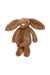 A Brown Soft Toys from Jellycat in size Newborn for neutral. (Front View)