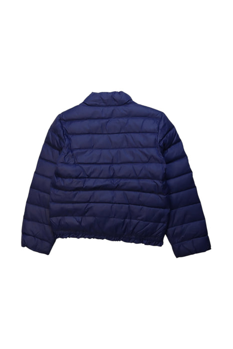 A Navy Puffer/Quilted Coats & Outerwear from Polo Ralph Lauren in size 6T for girl. (Back View)
