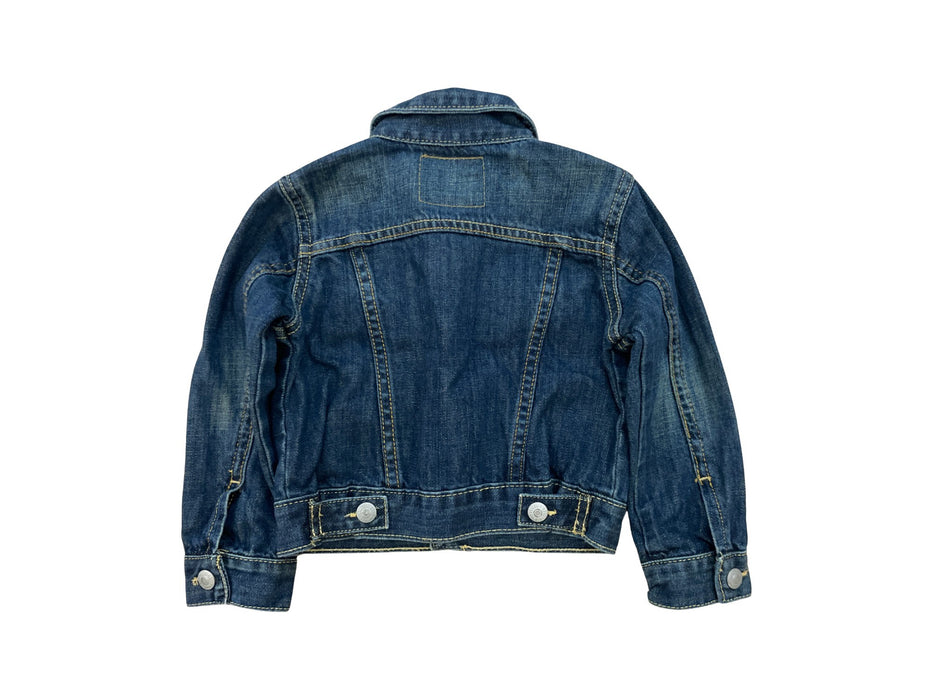 A Blue Lightweight Jackets from Levi's in size 2T for neutral. (Back View)