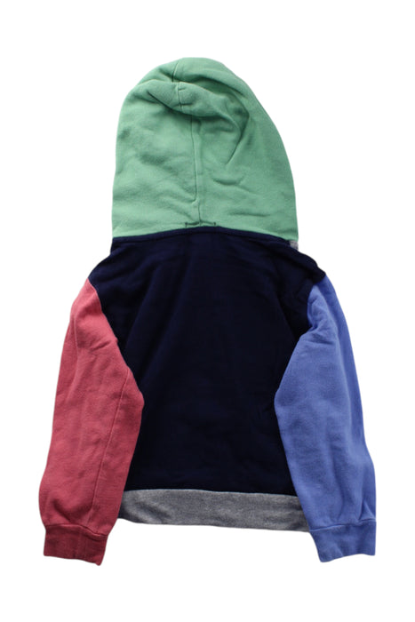 A Multicolour Hooded Sweatshirts from Polo Ralph Lauren in size 4T for boy. (Back View)