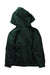 A Green Hooded Sweatshirts from Polo Ralph Lauren in size 4T for neutral. (Back View)