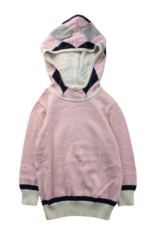 A Pink Hooded Sweatshirts from Nicholas & Bears in size 3T for girl. (Front View)