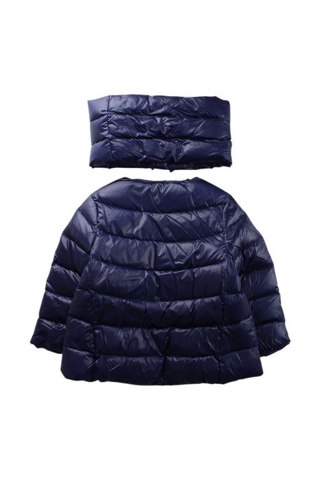 A Navy Puffer/Quilted Coats & Outerwear from Nicholas & Bears in size 6T for girl. (Back View)