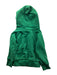 A Green Hooded Sweatshirts from Polo Ralph Lauren in size 2T for neutral. (Back View)