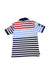 A Multicolour Short Sleeve Polos from Polo Ralph Lauren in size 6T for boy. (Back View)