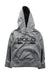 A Grey Hooded Sweatshirts from Polo Ralph Lauren in size 4T for neutral. (Front View)