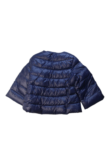 A Navy Puffer/Quilted Coats & Outerwear from Nicholas & Bears in size 6T for girl. (Back View)