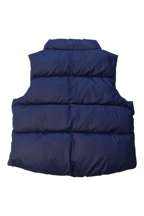 A Navy Puffer/Quilted Coats & Outerwear from Polo Ralph Lauren in size 6-12M for girl. (Back View)