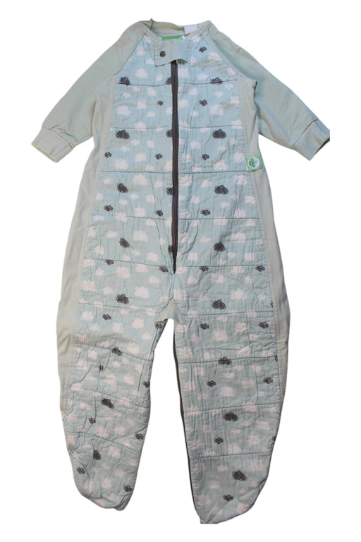 A Green Sleepsacs from ErgoPouch in size 2T for neutral. (Front View)