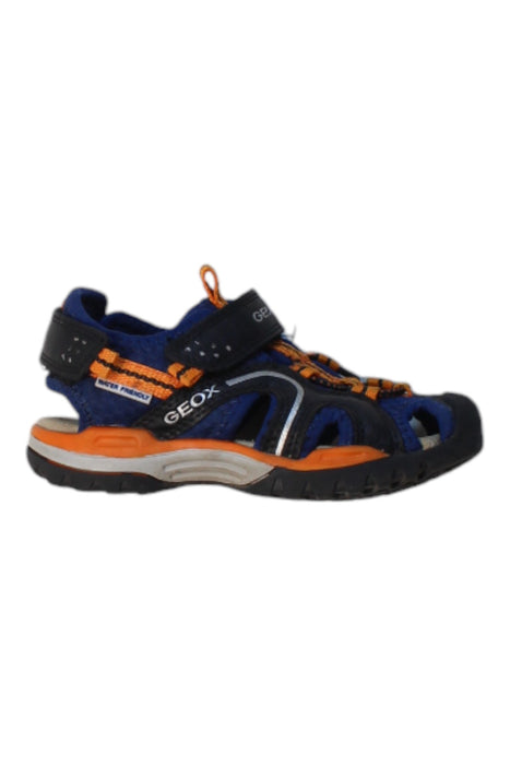 A Multicolour Sandals from Geox in size 4T for boy. (Front View)