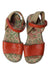 A Red Sandals from Camper in size 5T for girl. (Back View)