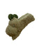 A Green Other Toys from Jellycat in size O/S for neutral. (Back View)
