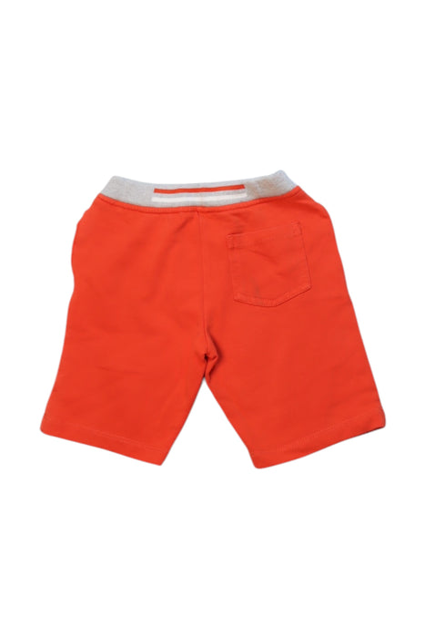 A Orange Shorts from Armani in size 18-24M for boy. (Back View)