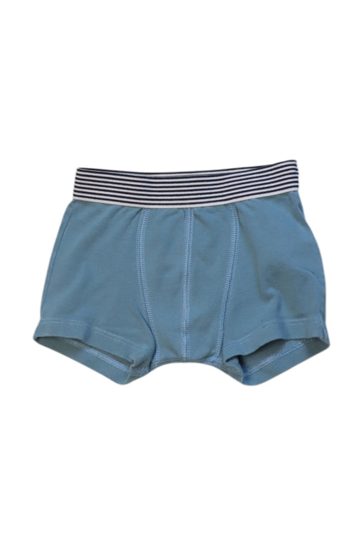 A Blue Underwear from Petit Bateau in size 4T for neutral. (Front View)