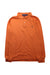 A Orange Long Sleeve Polos from Polo Ralph Lauren in size 14Y for boy. (Front View)