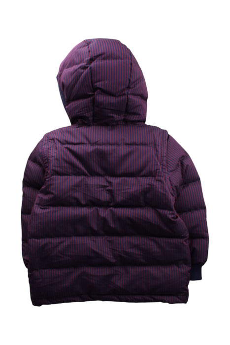 A Purple Puffer/Quilted Coats & Outerwear from Nicholas & Bears in size 6T for neutral. (Back View)