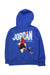 A Blue Zippered Sweatshirts from Air Jordan in size 3T for neutral. (Back View)