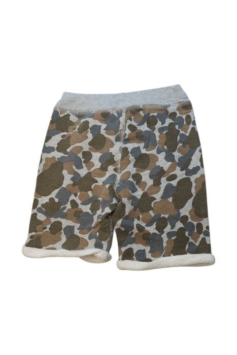 A Multicolour Shorts from Seed in size 5T for boy. (Back View)