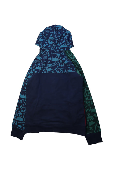 A Multicolour Hooded Sweatshirts from Desigual in size 9Y for boy. (Back View)