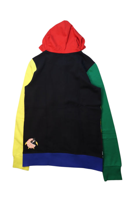 A Multicolour Hooded Sweatshirts from Desigual in size 11Y for boy. (Back View)